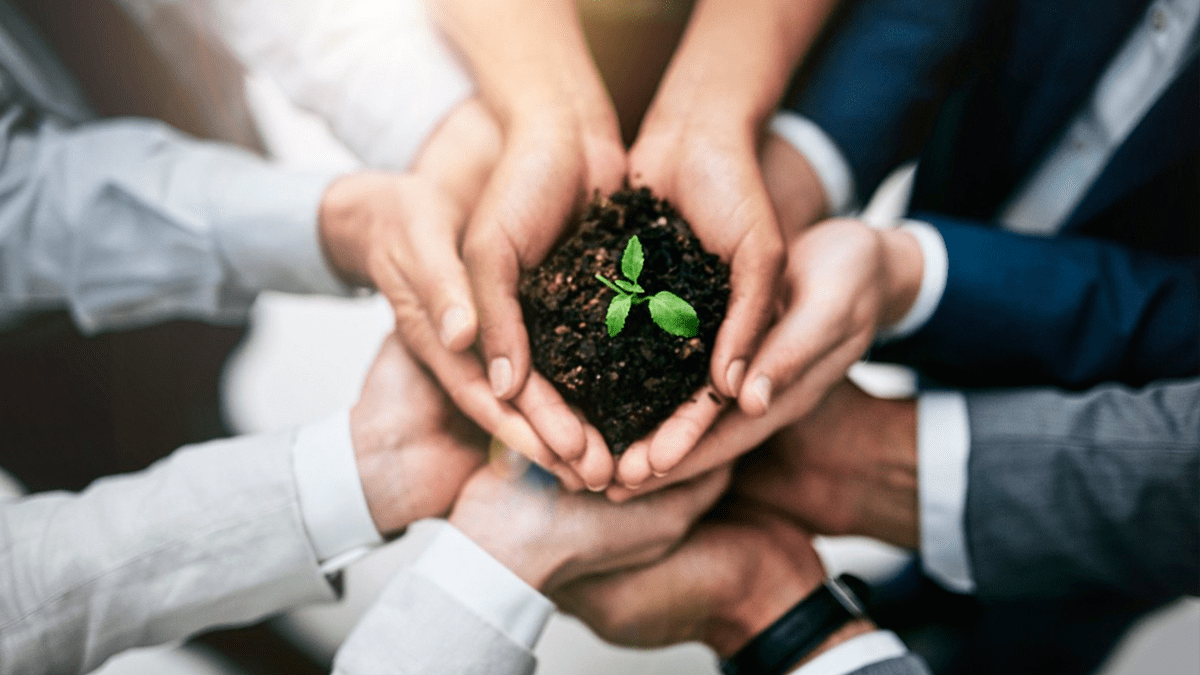 Read more about the article Consultoria Ambiental